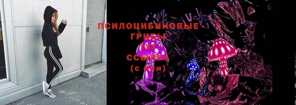 СК Абинск